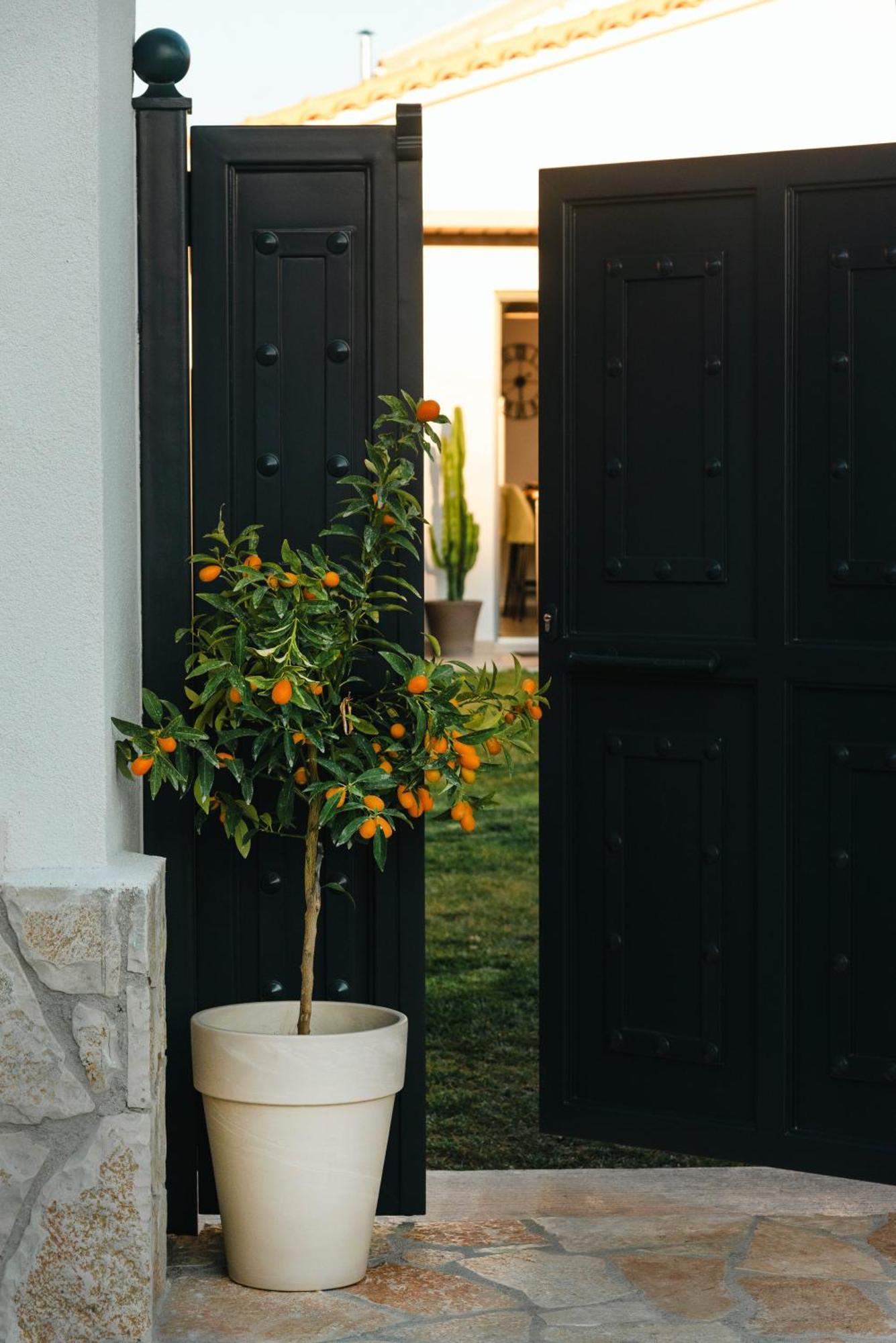 Rustic Charm Petrití